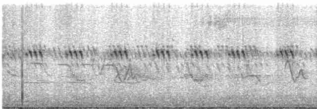 Çekirge Sesli Çayır Serçesi - ML619526161