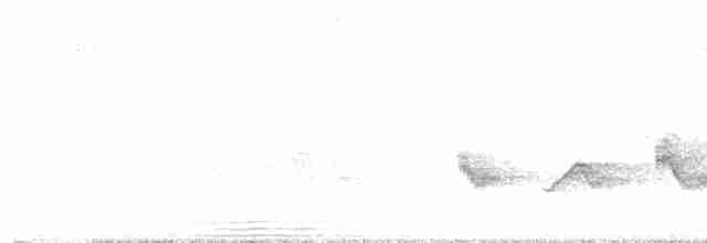 Kara Kanatlı Piranga - ML619526320