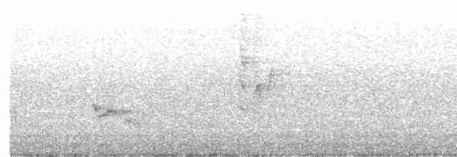 Katzenspottdrossel - ML619526460