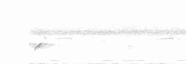 svarthodelarveeter - ML619526683