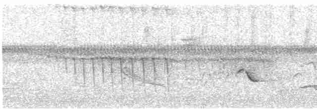 Oriole des vergers - ML619526684