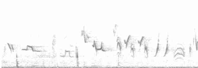Oriole des vergers - ML619526883