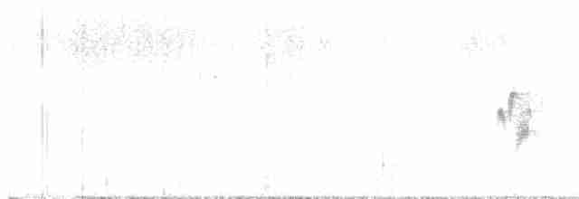 Желтобрюхий мухолов - ML619527305
