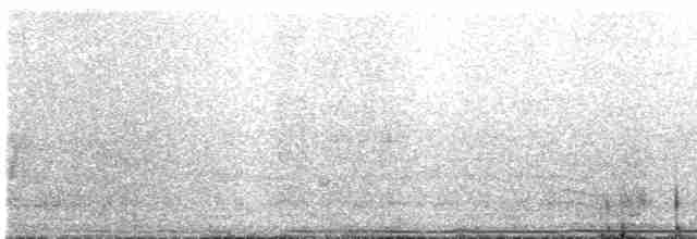 Gallo de las Praderas Grande - ML619527416