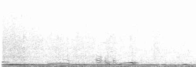 storpræriejerpe - ML619527432