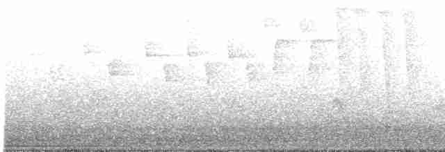 Cerulean Warbler - ML619527460