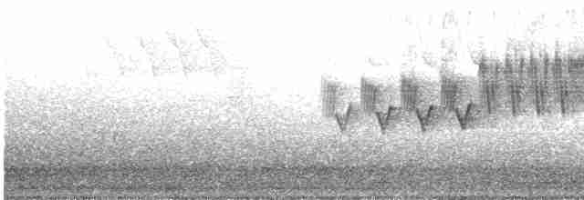Cerulean Warbler - ML619527468