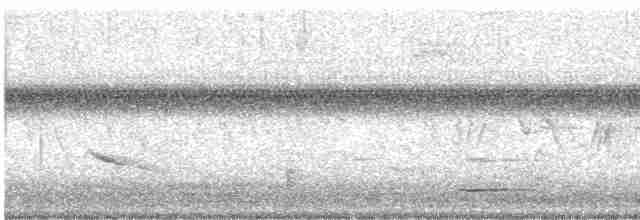 Oriole des vergers - ML619527739