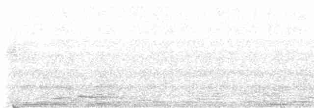 Streifenbartvogel - ML619527845