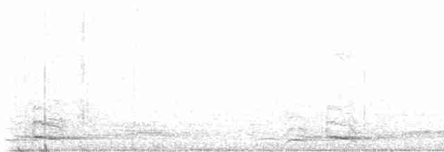 Streifenbartvogel - ML619527846