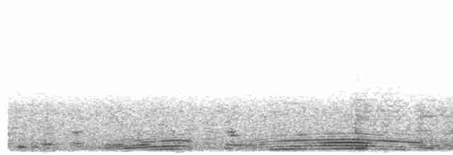 תוכי-ים אטלנטי - ML619528017