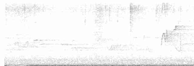 חטפית ירקרקה - ML619528241