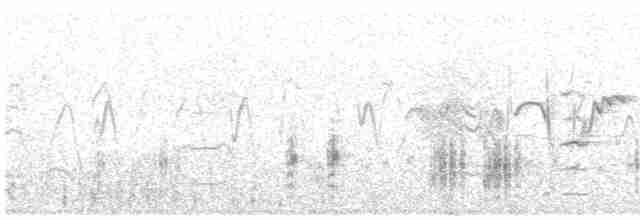 Great Reed Warbler - ML619528266