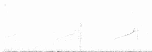 Élanion à queue blanche - ML619528599