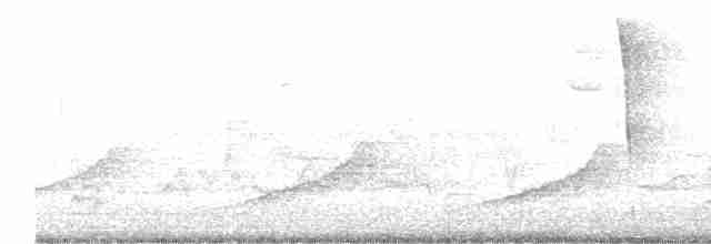 Дрізд-короткодзьоб бурий - ML619528750