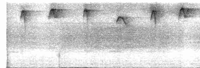 Пестрогорлый колибри-отшельник - ML619528837