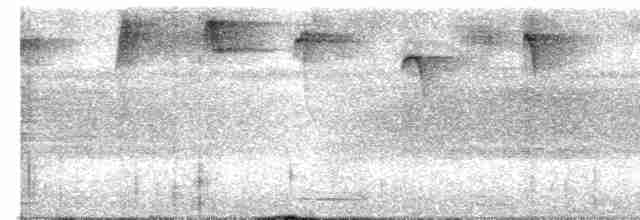 Stripe-throated Hermit - ML619528838