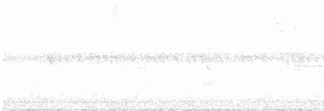 גיבתונית לבנת-גרון - ML619528868