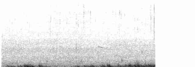 灰斑鴴 - ML619528914