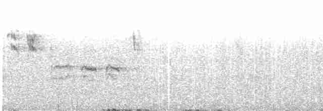 lejsek černohlavý - ML619528924