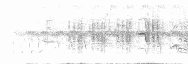 Берестянка багатоголоса - ML619528935