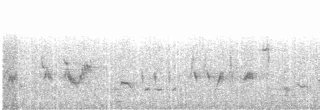 Gartengrasmücke - ML619528973