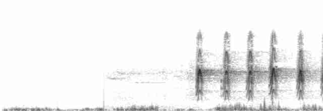 strakapoud prostřední - ML619529006