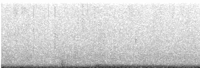 שחפית שחורת-אוזן - ML619529007