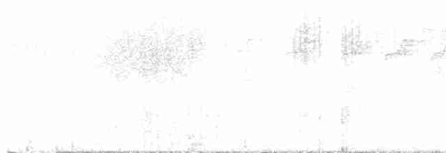 lesňáček černohlavý - ML619529039