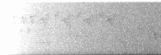 Шишкар ялиновий - ML619529066