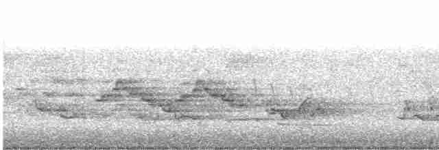 Бурый соловьиный дрозд - ML619529235