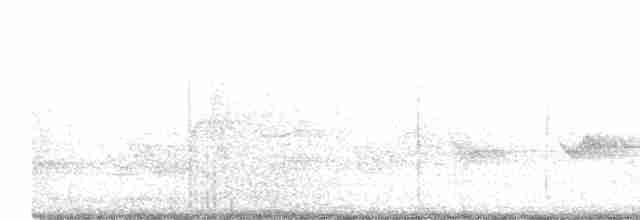 Чернокрылая пиранга - ML619529355