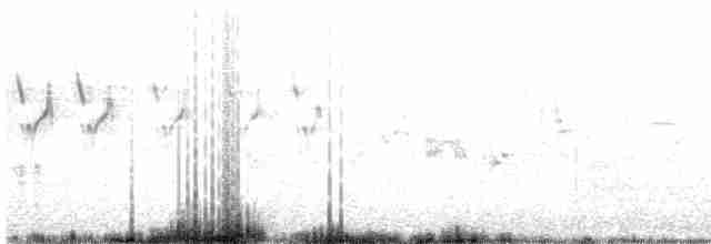 Pipit farlouse - ML619529365