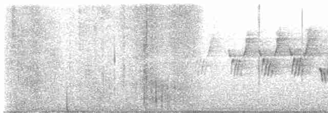 Paruline des buissons - ML619529563