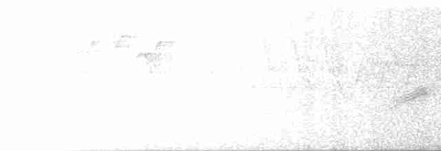 Дрізд-короткодзьоб бурий - ML619529885