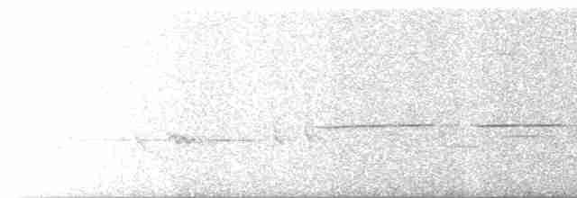 Bruant à gorge blanche - ML619529946