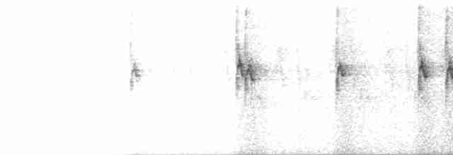 Белогорлая зонотрихия - ML619529972