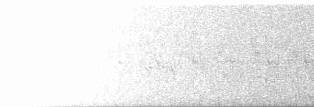 Sarı Karınlı Sinekkapan - ML619530003