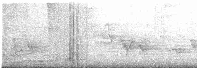 Черногорлая хвойница - ML619530139