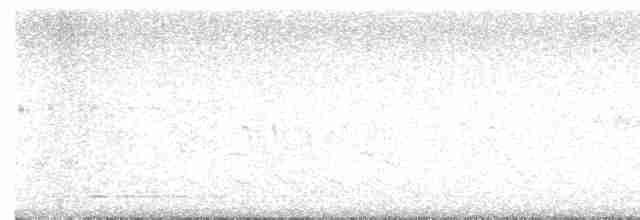 tyranovec vrbový - ML619530215