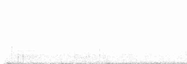 blåtrost (philippensis) - ML619530367