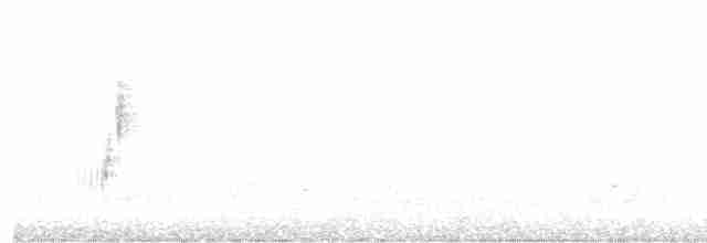 裏海燕鷗 - ML619530402