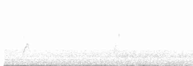 tyranovec vrbový - ML619530413