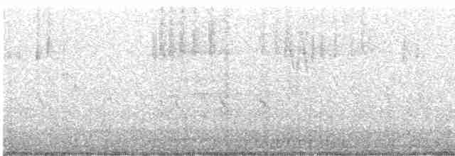 Шишкар ялиновий - ML619530415