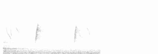 Hirondelle à face blanche - ML619530423