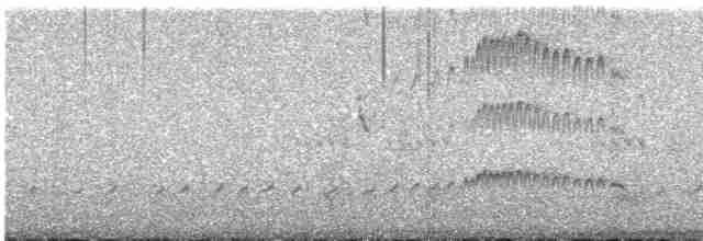 Gri Boğazlı Sinekkapan - ML619531492