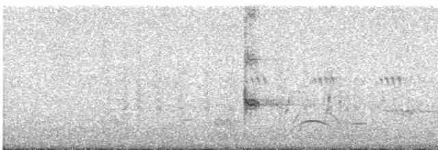 vlhovec červenokřídlý - ML619531555
