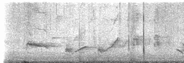Длинноклювый пересмешник - ML619531627