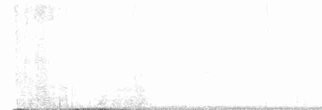 Дрізд-короткодзьоб плямистоволий - ML619531642