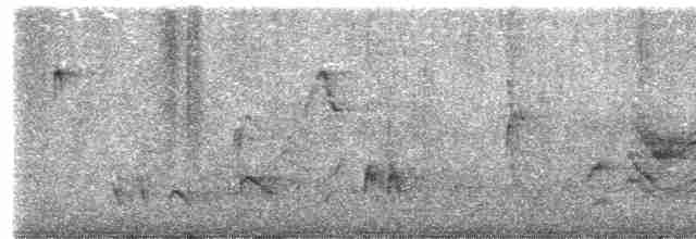 Длинноклювый пересмешник - ML619531864